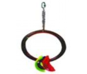 Single Hoop Swing