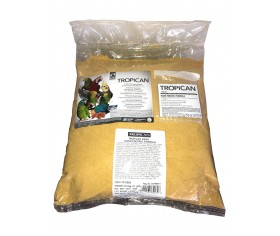 Tropican Mash Hand-Feading Formula