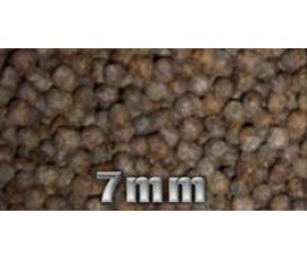 Cichlid Pellets - Large
