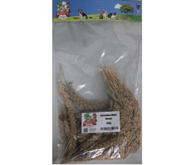 Millet Spray Selection 