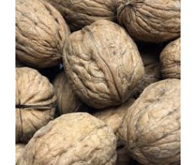 Raw Walnuts