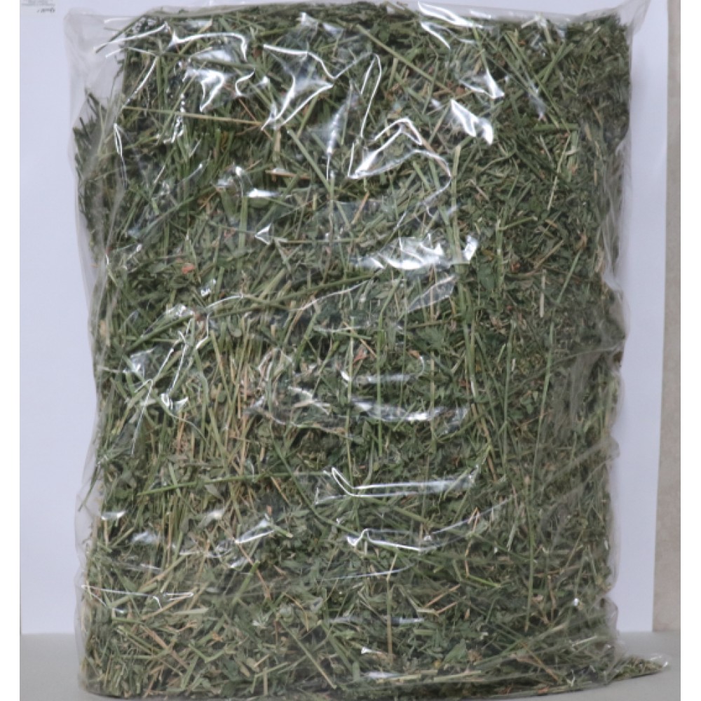 Lucerne Hay