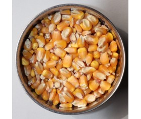 Whole Corn